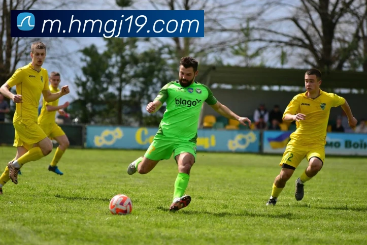 豪门国际官网服务体系